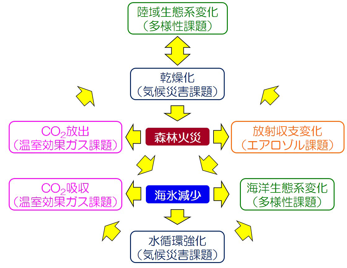 渡邉 英嗣（海洋研究開発機構）