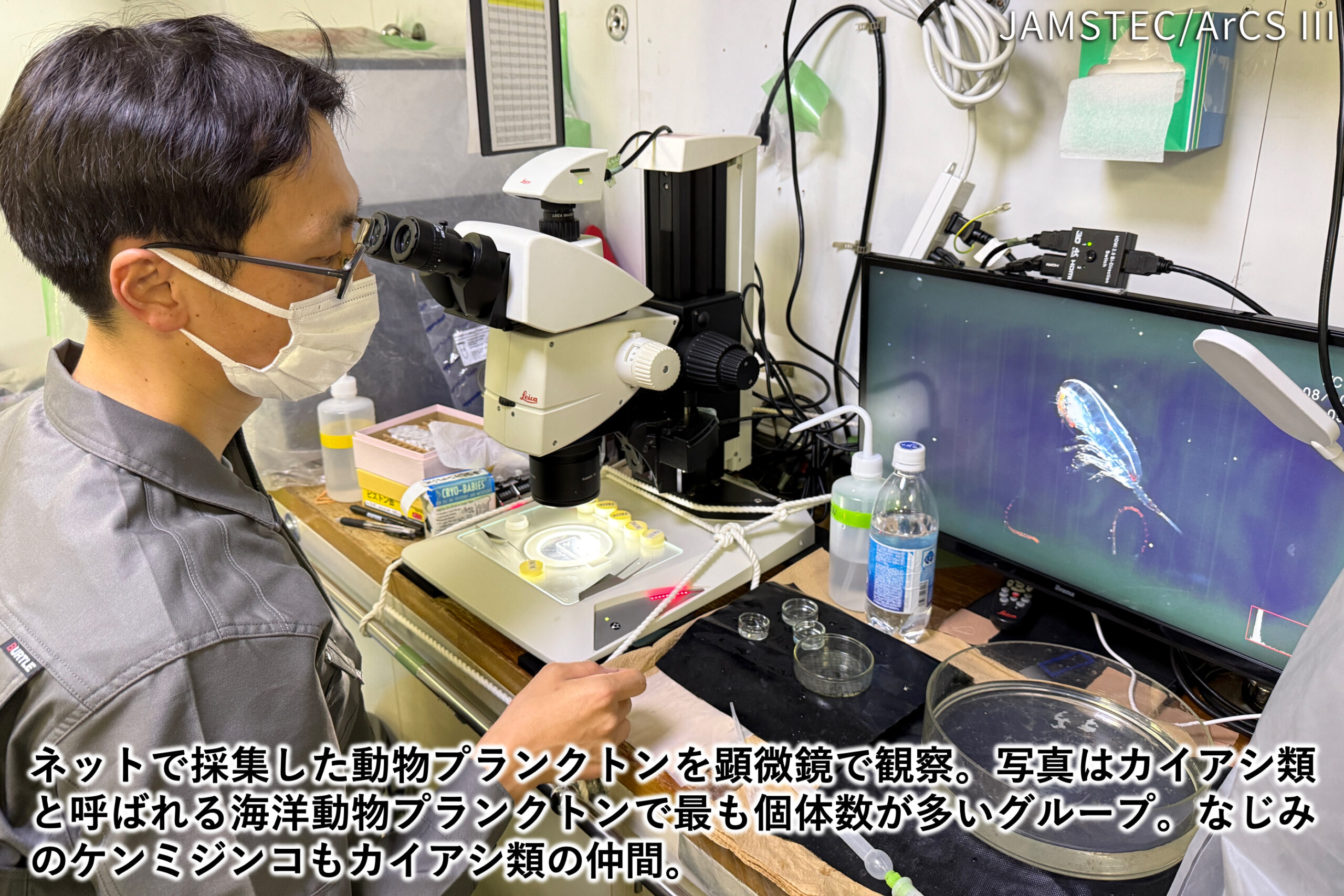 北極海の入口「チュクチ海」での観測