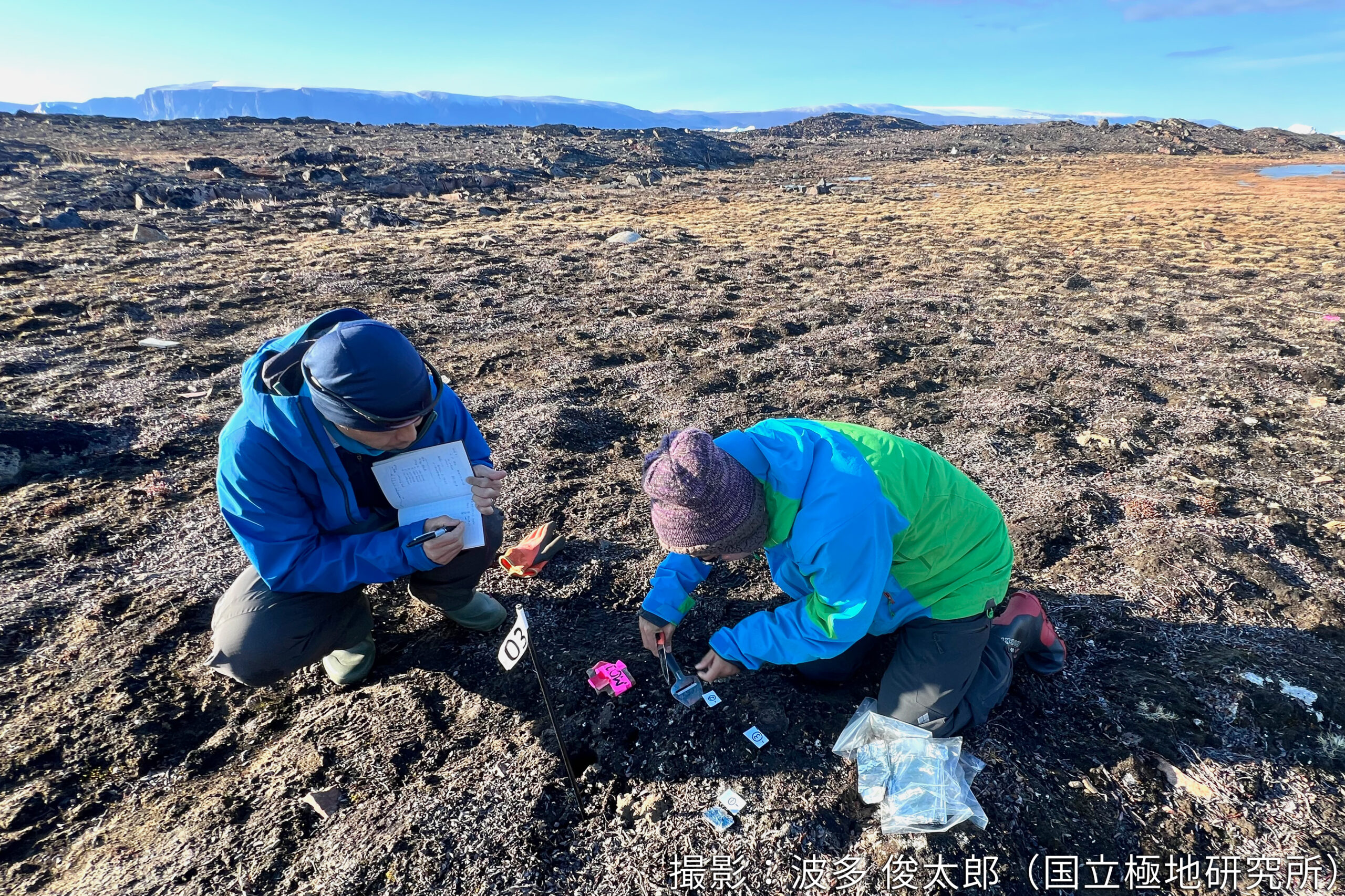 グリーンランド・北西部ケケッタ村での現地調査2025