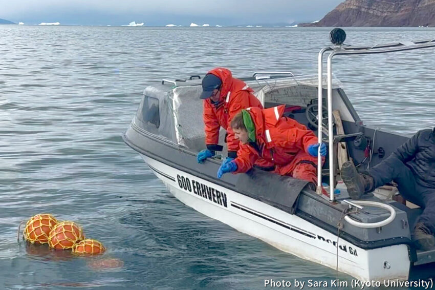 Deploying a moored hydrophone