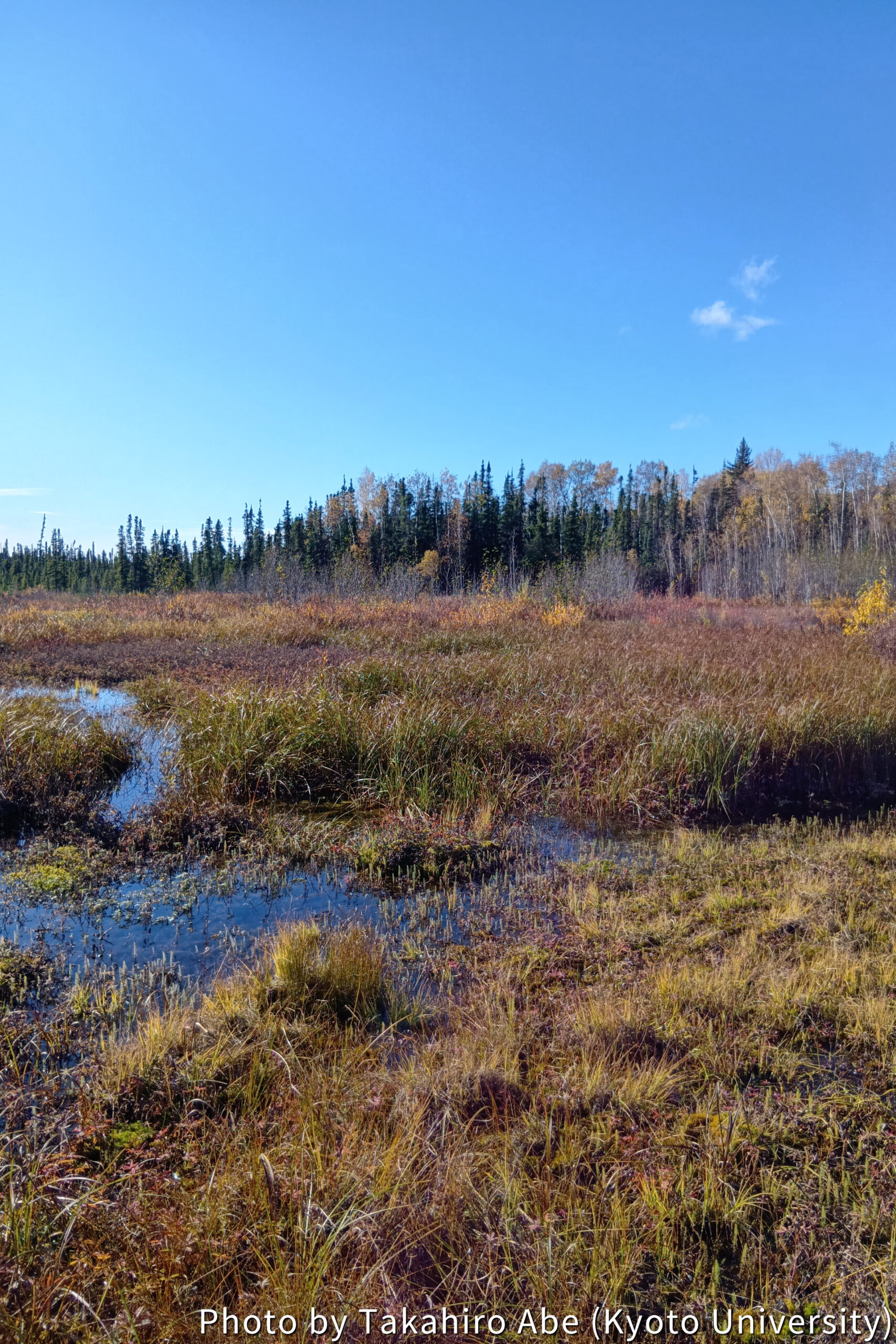 Field activity in the Poker Flat Research Range, Alaska