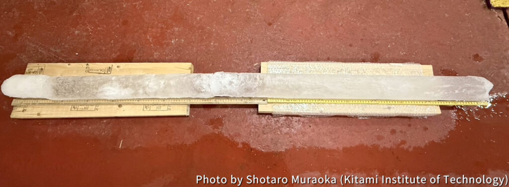 Collected Ice Cores (176.0 cm)