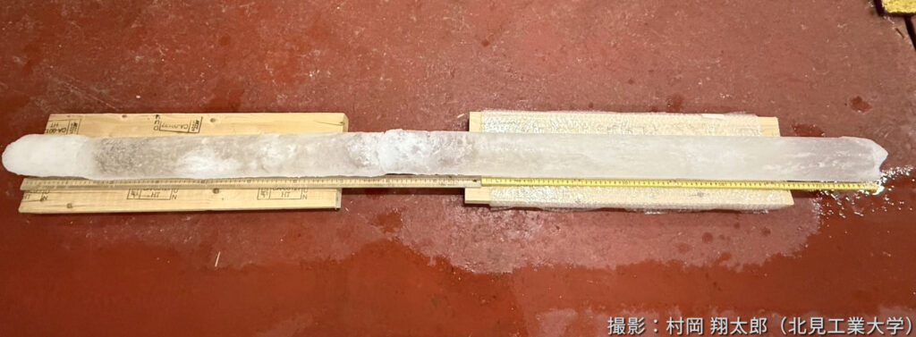 採取したアイスコア (176.0 cm)