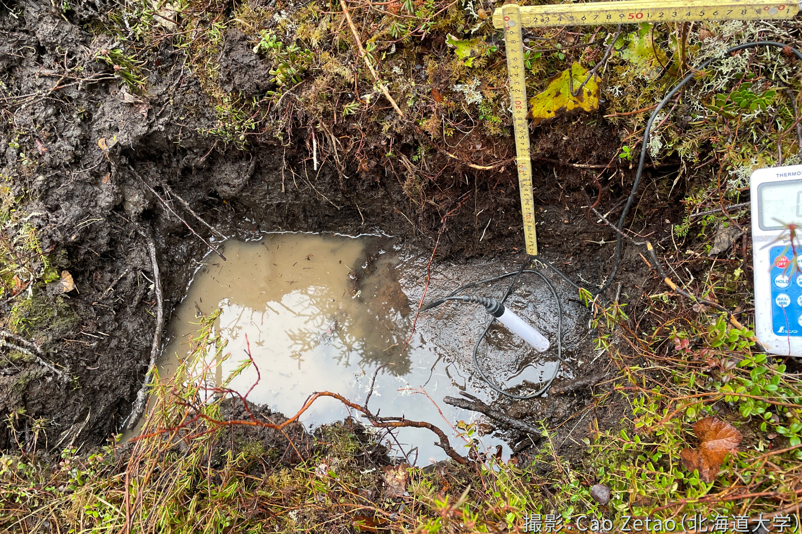 北ユーコン亜寒帯地域における火災後永久凍土進化のフィールドワーク