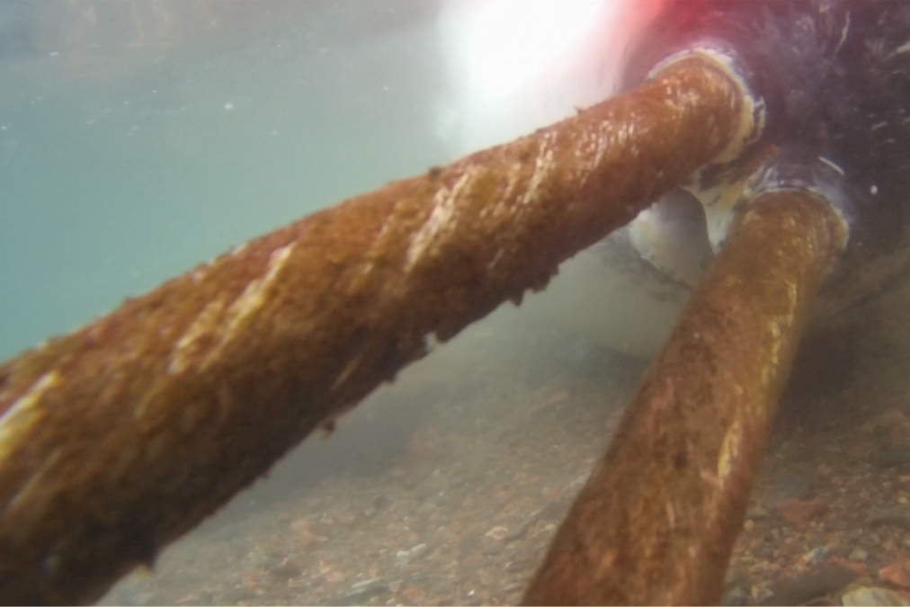 Narwhals hit moorings—questioning safety assumptions of oceanographic monitoring in the Arctic