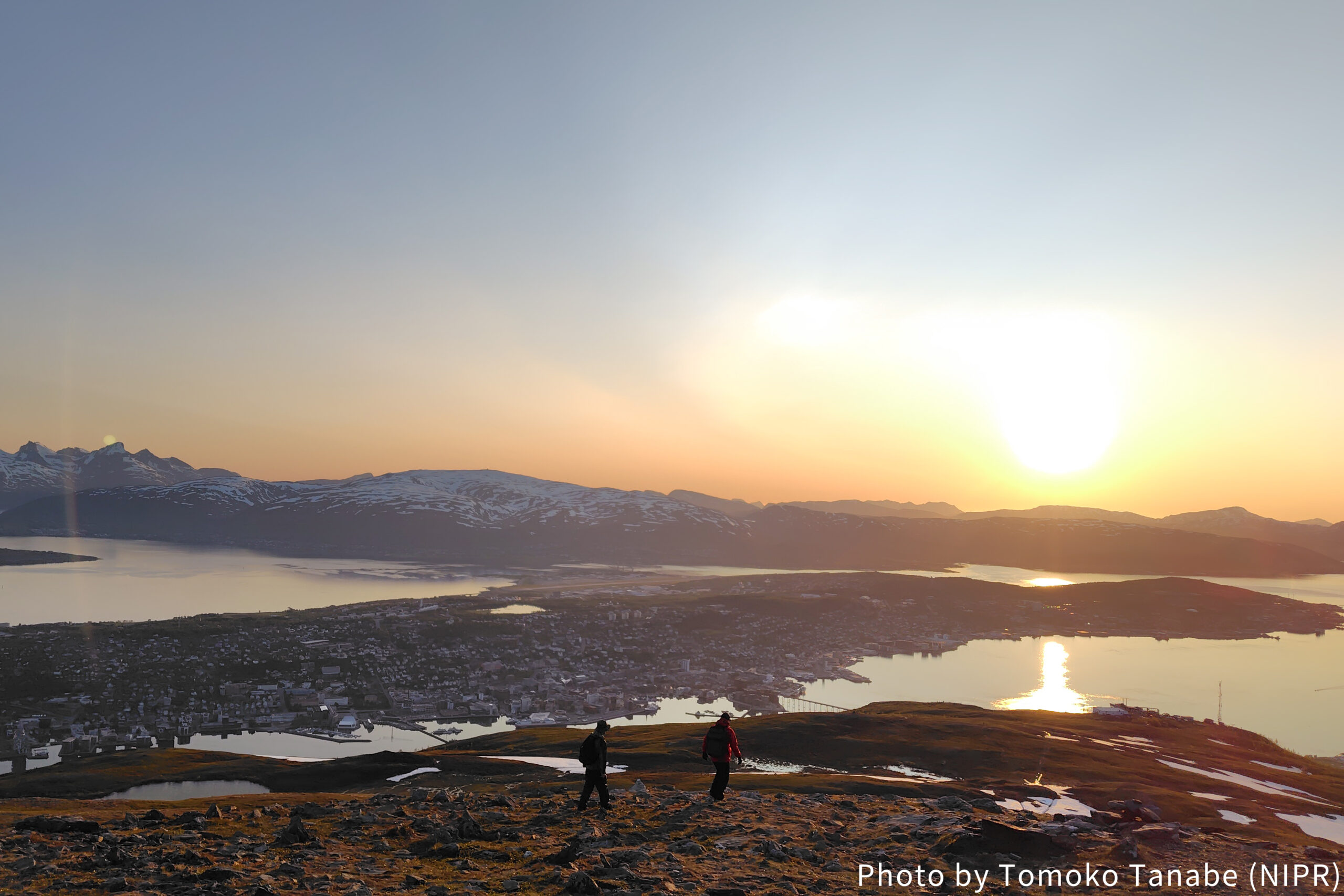 Call for Arctic Early-Career Meetup!(2026.3.10)