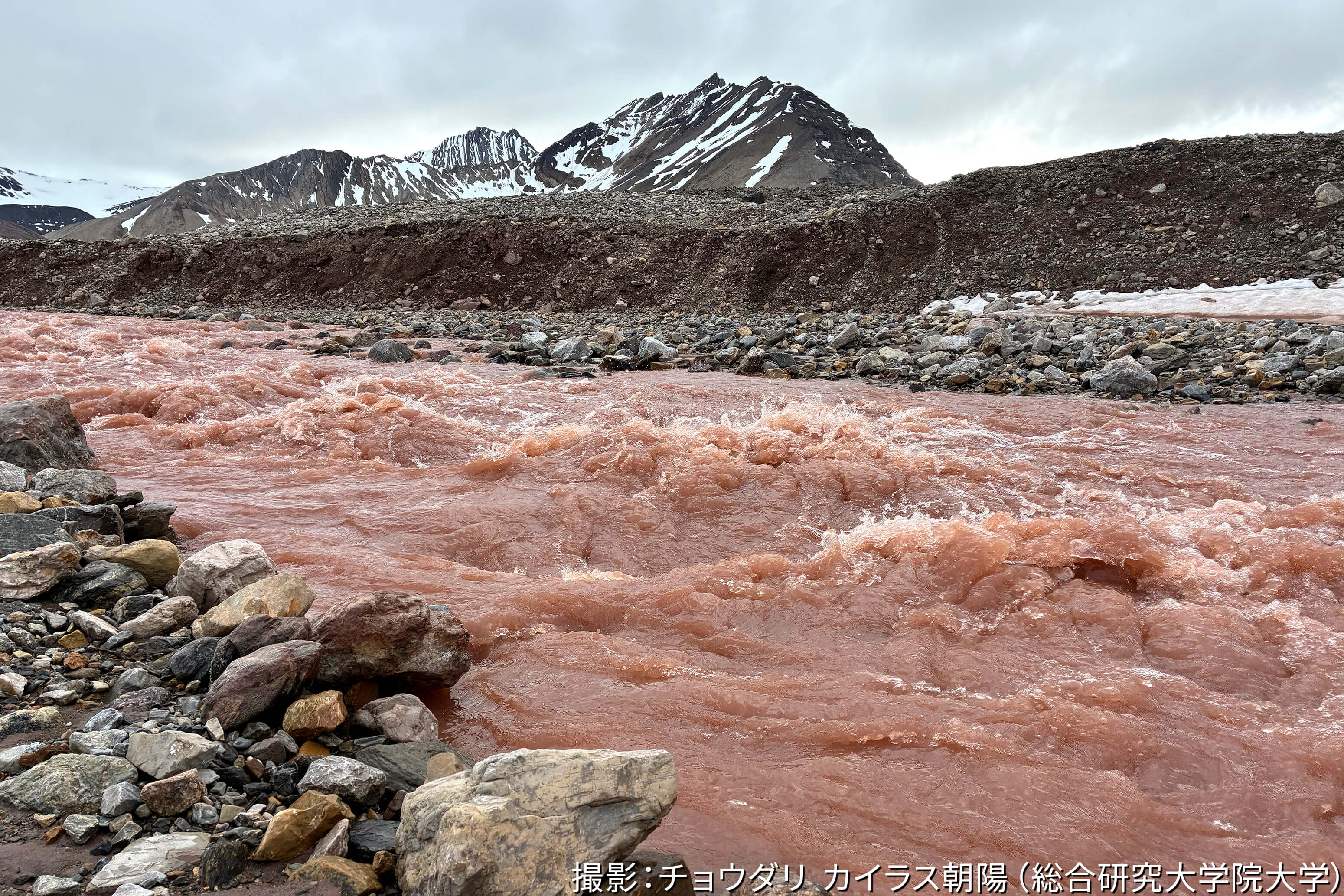 ノルウェー北極、ブレッガー氷河周辺の微生物調査