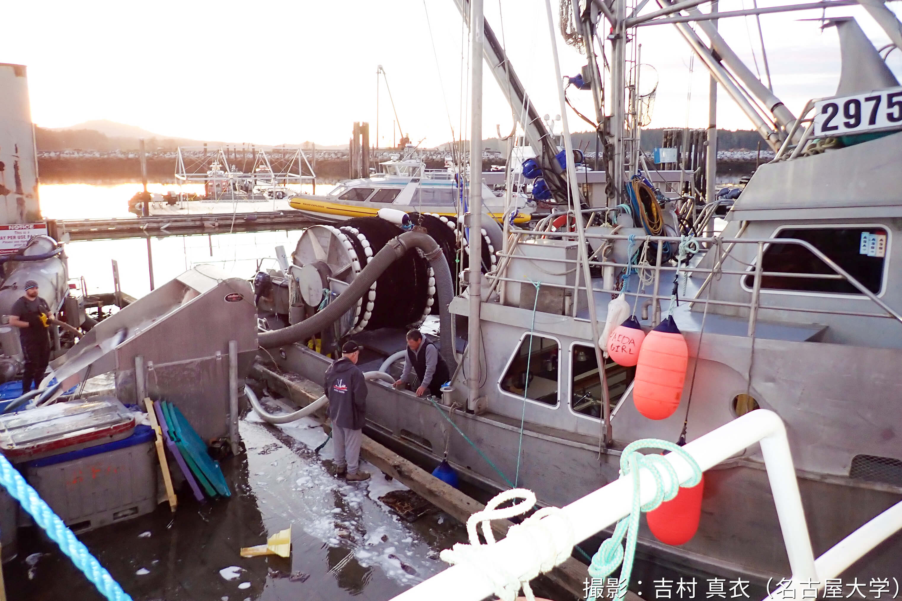 カナダ、バンクーバー島でのフィールド調査報告