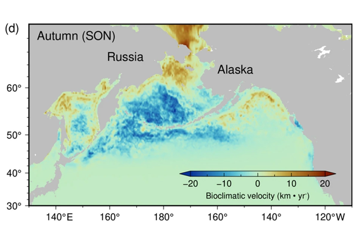 (in Japanese) Climate-driven shifts in marine habitat explain recent declines of Japanese Chum salmon