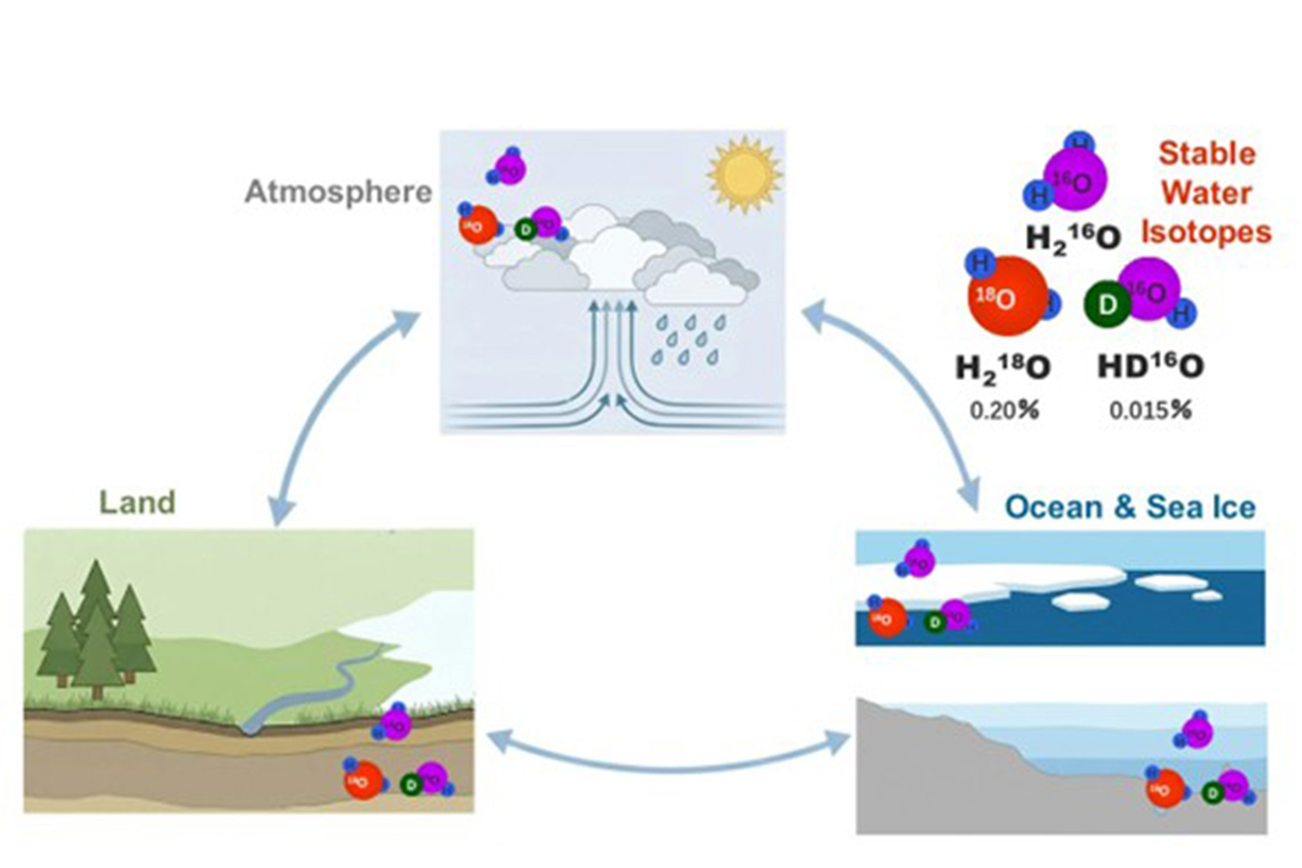 降水・水蒸気・海水の同位体から水循環の履歴を読み解く気候モデル「MIROC6-iso」を開発―年々変動の再現性向上、観測データのない地域や時代の気候復元が可能に―