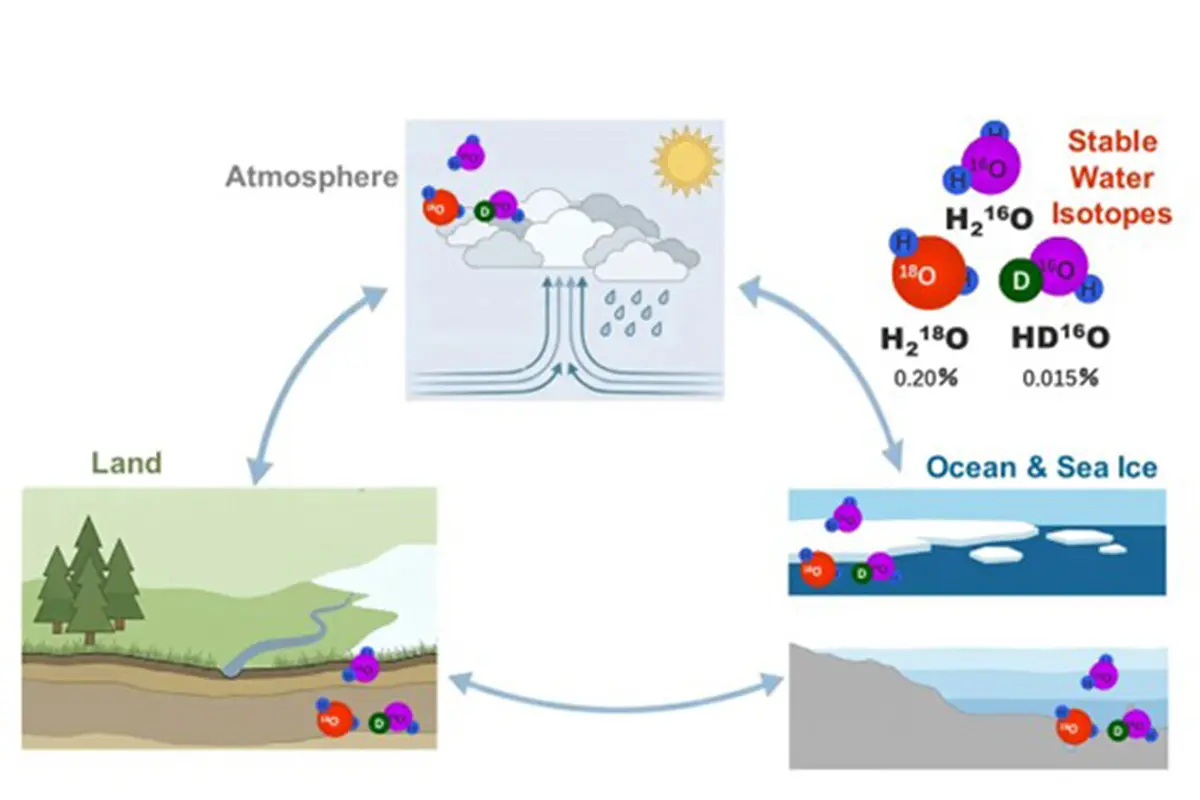 Improved response of δ<sup data-src-img=