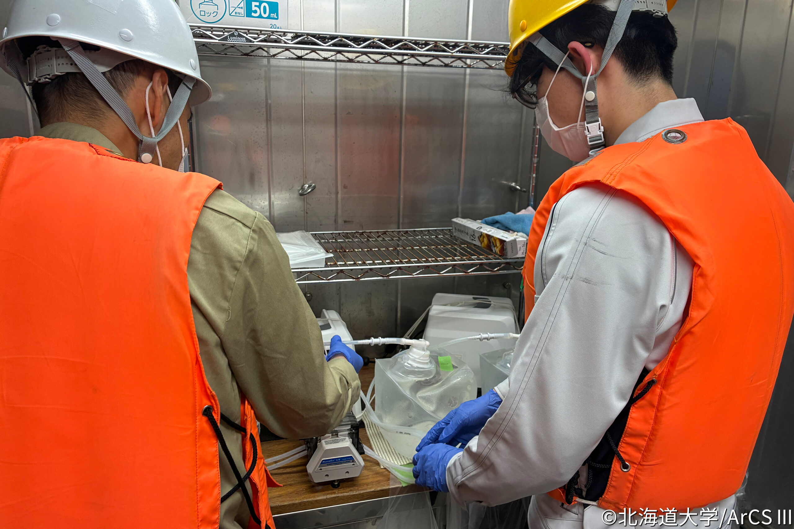 環境DNA調査 in 北極
