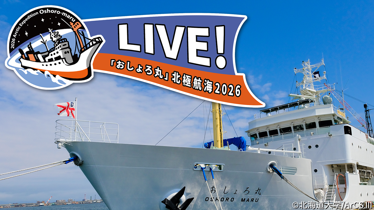 LIVE！「おしょろ丸」北極航海2026 | ArCS III 北極域研究強化プロジェクト