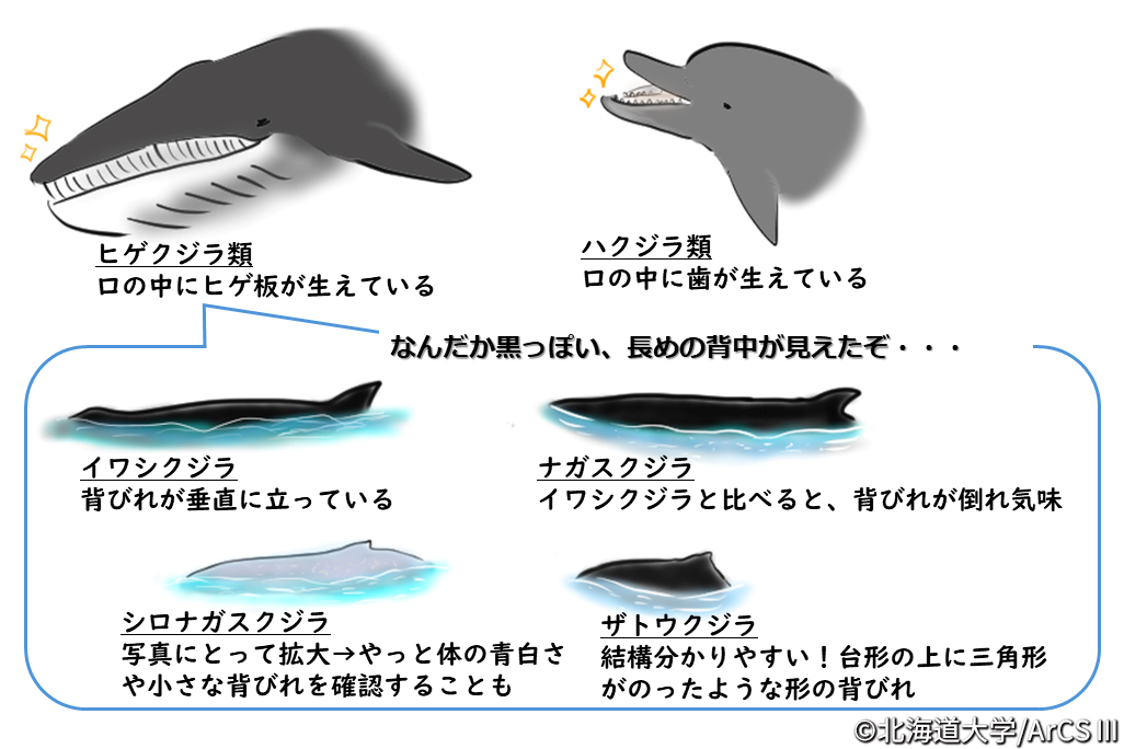 あれから3年後の今日も、結局、北極。