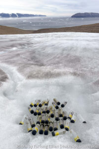 Incubation experiment on Qaanaaq Glacier